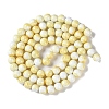 Baking Paint Glass Bead Strands GLAA-H031-01C-03-3