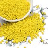 8/0 Opaque Colours Round Glass Seed Beads X-SEED-A010-3mm-42-1