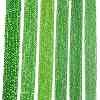Electroplate Glass Beads Strands EGLA-A044-T8mm-A11-2
