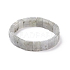 Natural Labradorite Stretch Bracelets BJEW-F406-B19-2