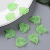 Autumn Theme Transparent Frosted Acrylic Pendants X-PAF002Y-28-7