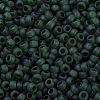 MIYUKI Round Rocailles Beads SEED-G007-RR0156F-3