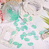 60Pcs Handmade Lampwork Pendants LAMP-CA0001-16-4