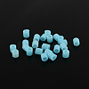 PE Fuse Beads X-DIY-R013-30-1