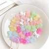 Acrylic Beads X-OACR-H038-15-1