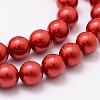 Shell Pearl Bead Strands BSHE-L026-08-8mm-3