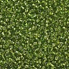 12/0 Glass Seed Beads X1-SEED-A005-2mm-24-2