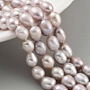 Natural Cultured Freshwater Pearl Beads Strands PEAR-P062-10B-1