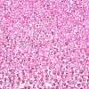 6/0 Baking Paint Transparent Fringe Glass Seed Beads X1-SEED-N006-06G-3