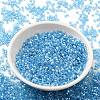 Transparent Colours Luster Glass Seed Beads SEED-S042-20B-05-2