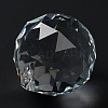 Transparent Glass Pendants GLAA-R223-03D-3