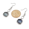 Hexagon Natural Fluorite Dangle Earrings EJEW-K298-01P-10-5