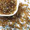 Glass Seed Beads SEED-H002-A-A622-1