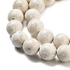 Natural Fossil Beads Strands G-H026-02D-4