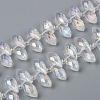 Crystal Glass Beads Strands X-GLAA-D033-01-1