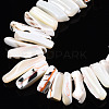 Natural Trochid Shell/Trochus Shell Beads Strands SSHEL-T014-41-3