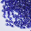 8/0 Two Cut Glass Seed Beads SEED-S033-15A-05-2
