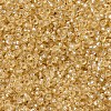 MIYUKI Round Rocailles Beads X-SEED-G007-RR0002-3