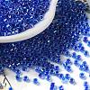 Glass Seed Beads SEED-S042-13A-15-1