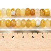 Natural Banded Agate Beads Strands G-F790-I01-01B-5