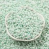 Macaron Color Opaque Frosted Glass Seed Beads SEED-K009-12B-07-2