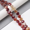 Natural Red Agate Beads Strands G-K359-C13-01-2