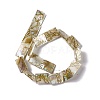 Drawbench Style Natural Freshwater Shell Beads Strands SHEL-F003-02-3