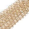 Transparent Glass Beads EGLA-A035-T10mm-D22-1