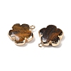 Natural Tiger Eye Pendants G-P566-01G-07-2