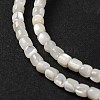 Natural Trochus Shell Beads Strands BSHE-S304-09B-3