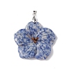 Natural Blue Spot Jasper Big Pendants G-B040-01P-08-2