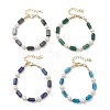 Natural Lapis Lazuli/Natural Apatite/Natural Hawk's Eye/Natural Emerald Column Beaded Bracelets for Women BJEW-JB13115-2