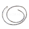 Natural Freshwater Shell Beads Strands SHEL-P017-01A-13-2