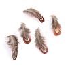 Chicken Feather Costume Accessories FIND-Q046-08-1