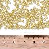 12/0 Glass Seed Beads X1-SEED-A017-2mm-1107-3