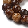 Natural Gemstone Beads Strands G-H045-A01-8MM-3