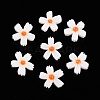 Natural Freshwater Shell Beads Strands SHEL-F004-04-01-2