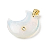 Opalite Pendants G-A297-02G-13-2