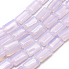 Opalite Beads Strands G-L557-15E-1