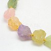 Natural Mixed Gemstone Beads Strands G-L159-10-2