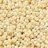 Glass Seed Beads SEED-L011-04A-09-3