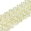 Electroplate Glass Beads Strand EGLA-S188-17-4
