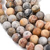 Natural Crazy Lace Agate Beads Strands G-Q462-10mm-12-6