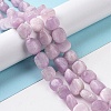 Natural Kunzite Beads Strands G-A208-01A-2