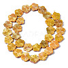 Natural Freshwater Shell Beads Strands SHEL-Q025-002E-2