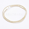 Electroplate Glass Beads Strands GLAA-F078-FR08-2