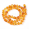 Natural Amber Beads Strands G-T138-236-2