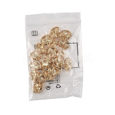 Tibetan Style Alloy Pendants FIND-FZC0006-003AS-1