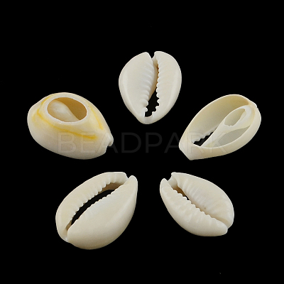 Natural Mixed Cowrie Shell Beads X-BSHE-S053-01-1