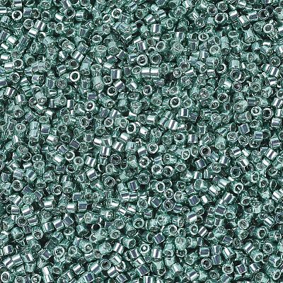 MIYUKI Delica Beads X-SEED-J020-DB0416-1